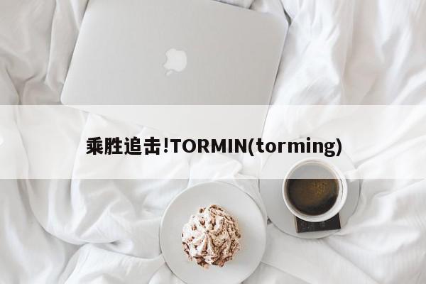 乘胜追击!TORMIN(torming)